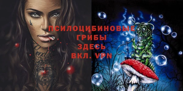 дмт Балахна